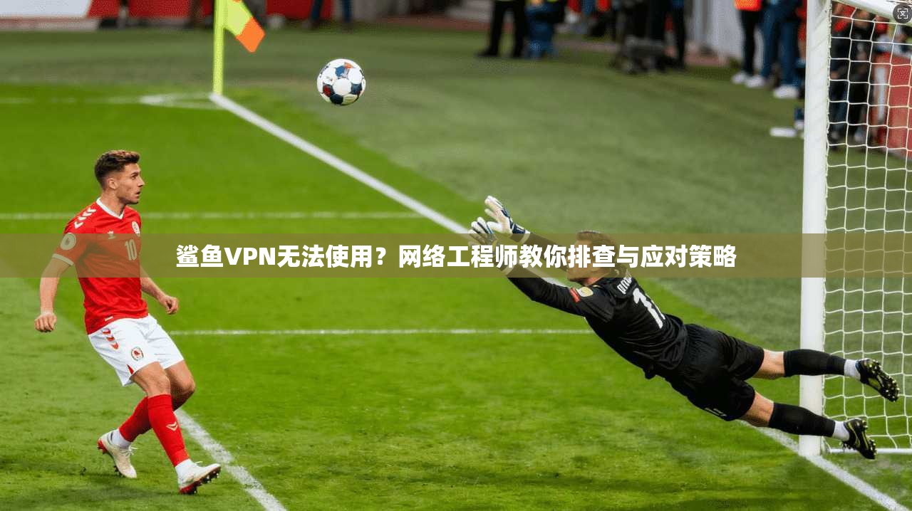 鲨鱼VPN无法使用？网络工程师教你排查与应对策略