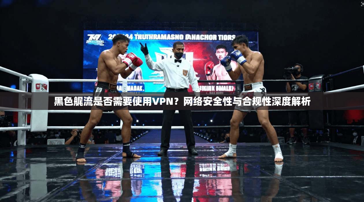 黑色艉流是否需要使用VPN？网络安全性与合规性深度解析