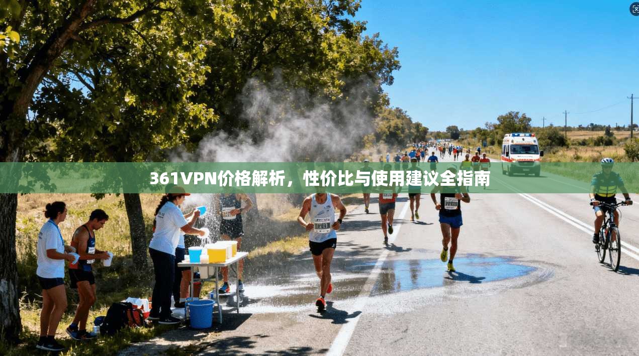 361VPN价格解析，性价比与使用建议全指南