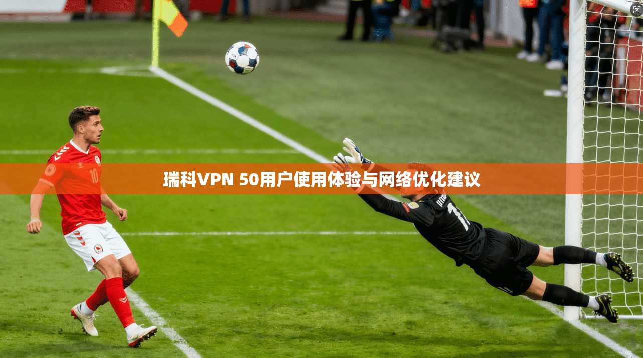 瑞科VPN 50用户使用体验与网络优化建议