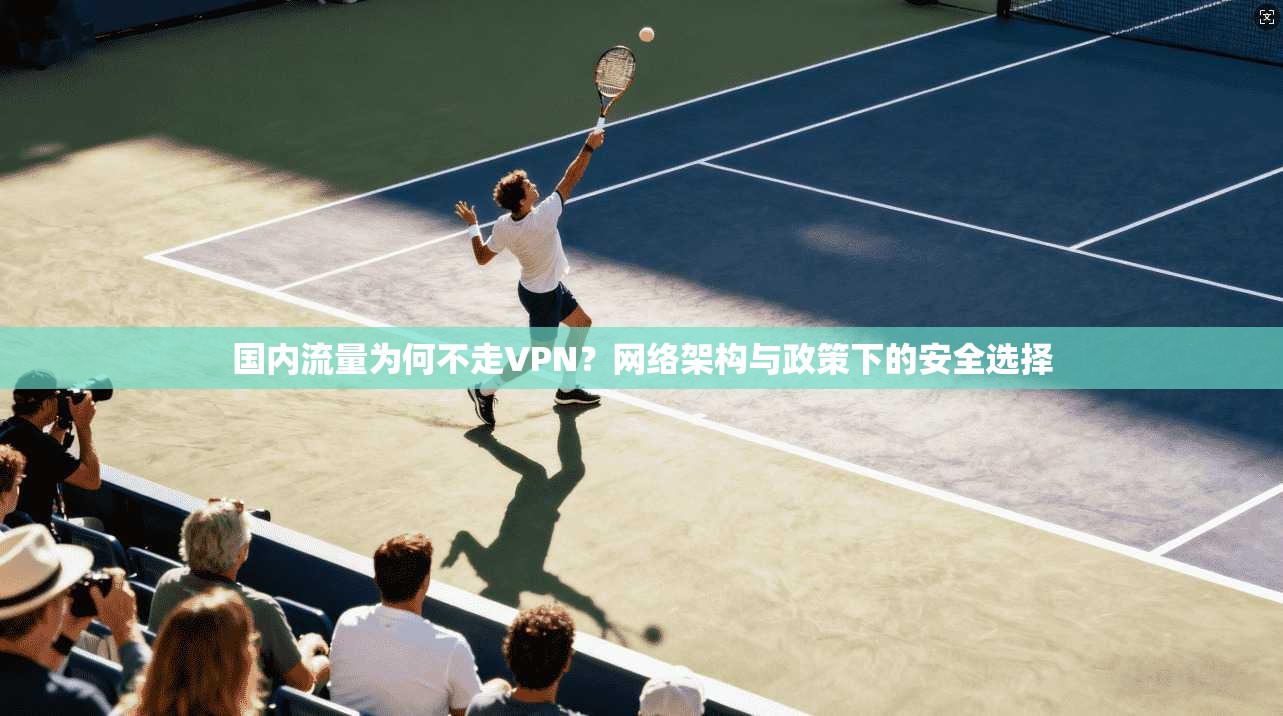 国内流量为何不走VPN？网络架构与政策下的安全选择