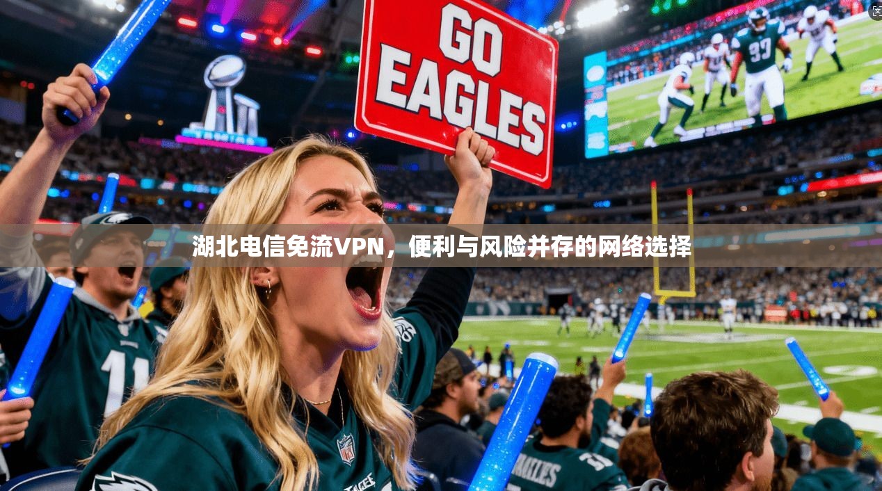 湖北电信免流VPN，便利与风险并存的网络选择