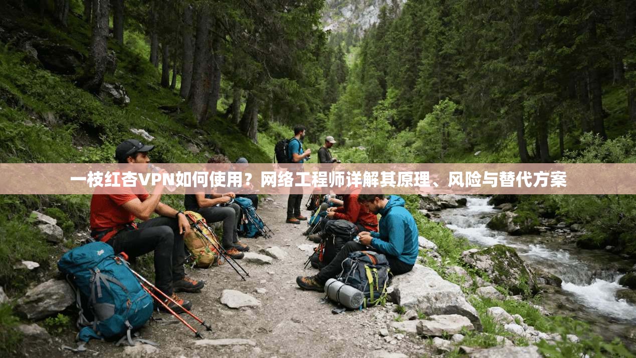 一枝红杏VPN如何使用？网络工程师详解其原理、风险与替代方案