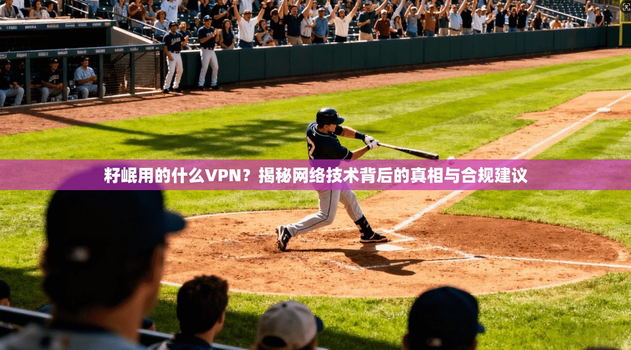 籽岷用的什么VPN？揭秘网络技术背后的真相与合规建议