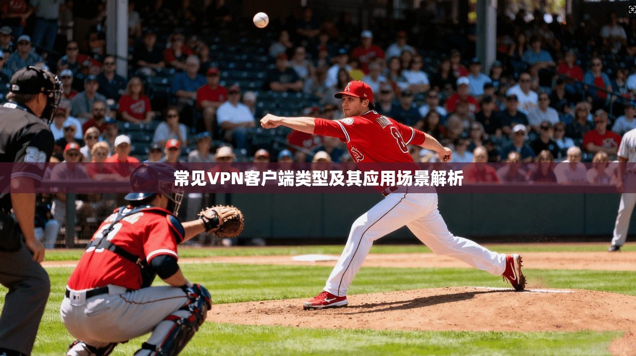 常见VPN客户端类型及其应用场景解析