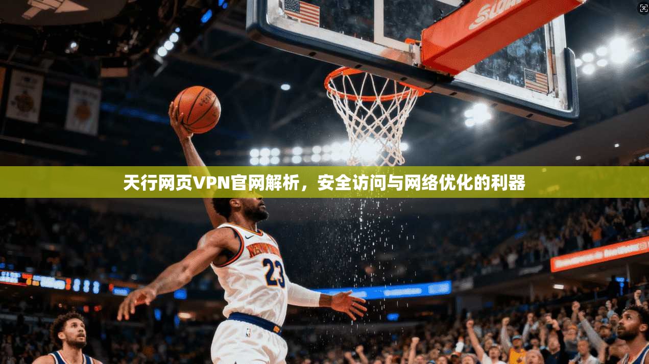 天行网页VPN官网解析，安全访问与网络优化的利器