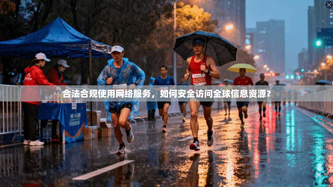 合法合规使用网络服务，如何安全访问全球信息资源？