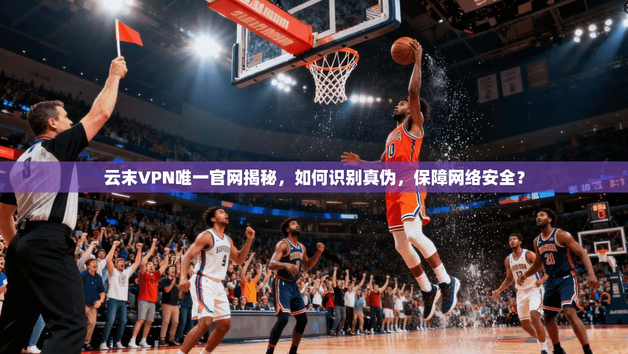 云末VPN唯一官网揭秘，如何识别真伪，保障网络安全？