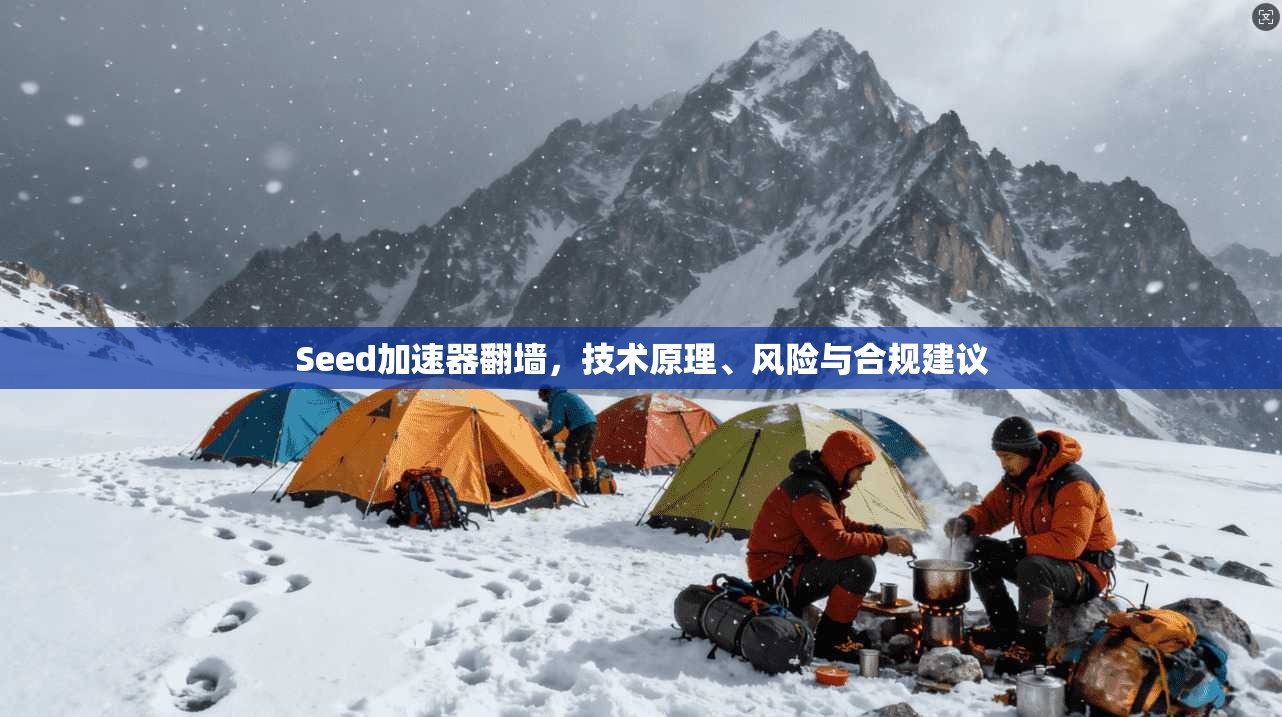 Seed加速器翻墙，技术原理、风险与合规建议