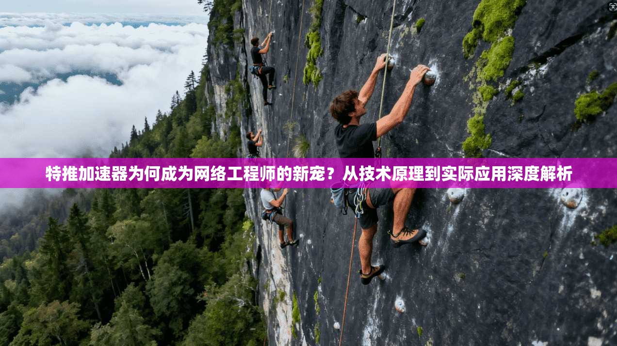 特推加速器为何成为网络工程师的新宠？从技术原理到实际应用深度解析