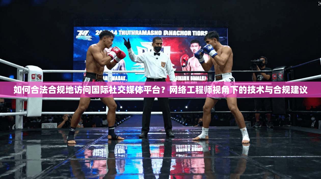 如何合法合规地访问国际社交媒体平台？网络工程师视角下的技术与合规建议