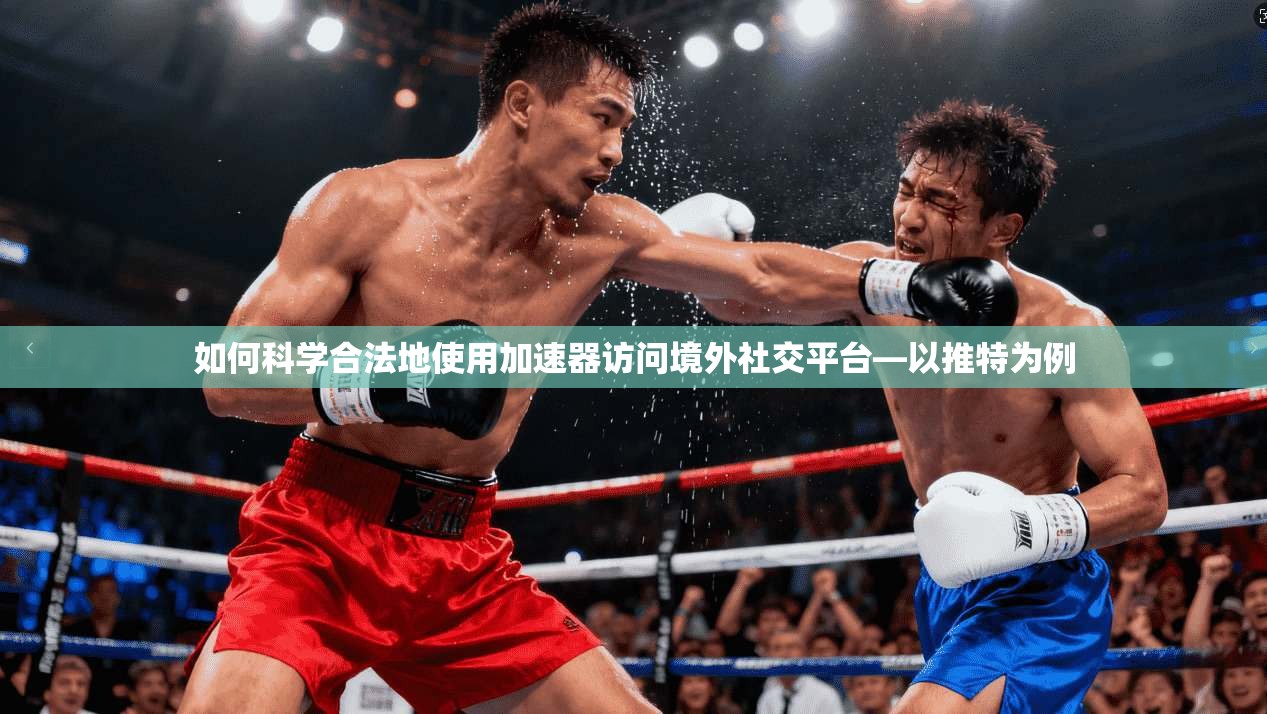 如何科学合法地使用加速器访问境外社交平台—以推特为例