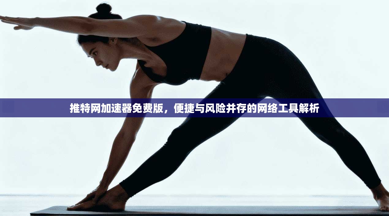 推特网加速器免费版，便捷与风险并存的网络工具解析
