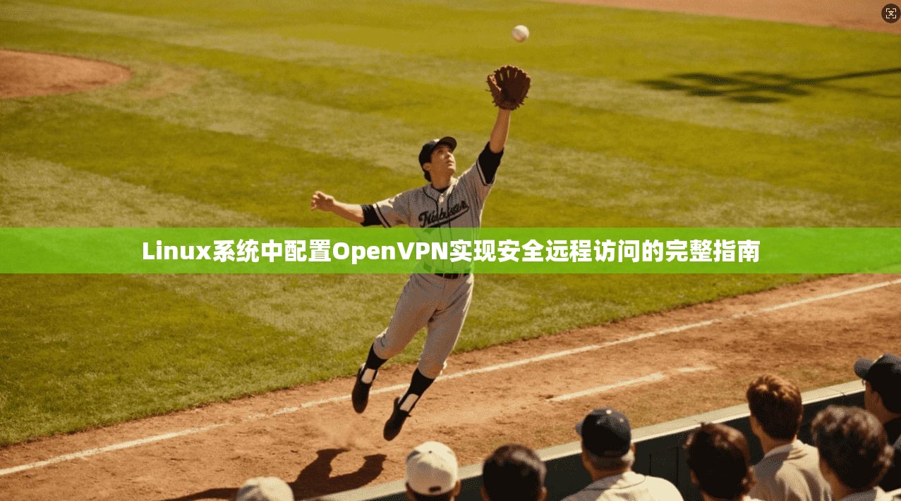 Linux系统中配置OpenVPN实现安全远程访问的完整指南