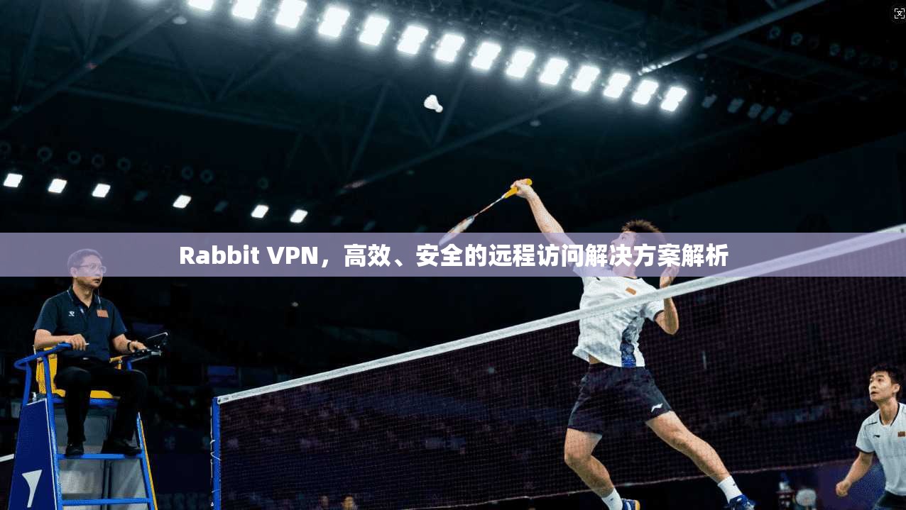 Rabbit VPN，高效、安全的远程访问解决方案解析