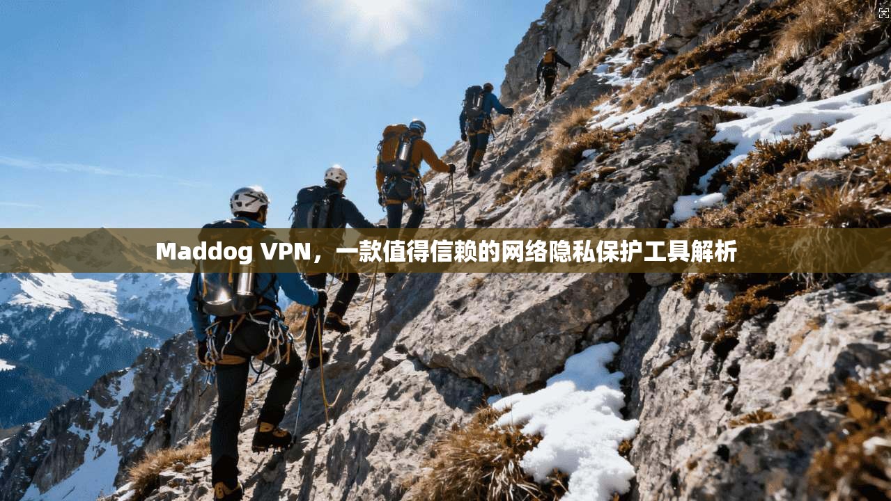 Maddog VPN，一款值得信赖的网络隐私保护工具解析