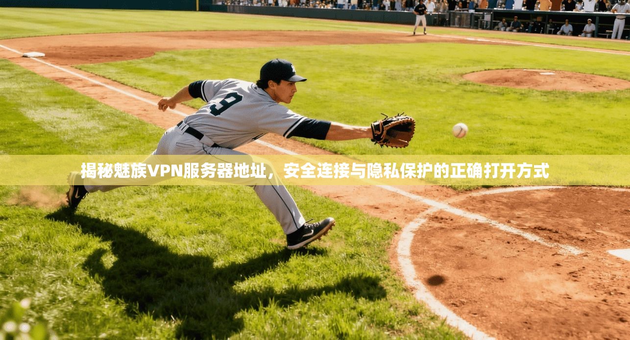 揭秘魅族VPN服务器地址，安全连接与隐私保护的正确打开方式