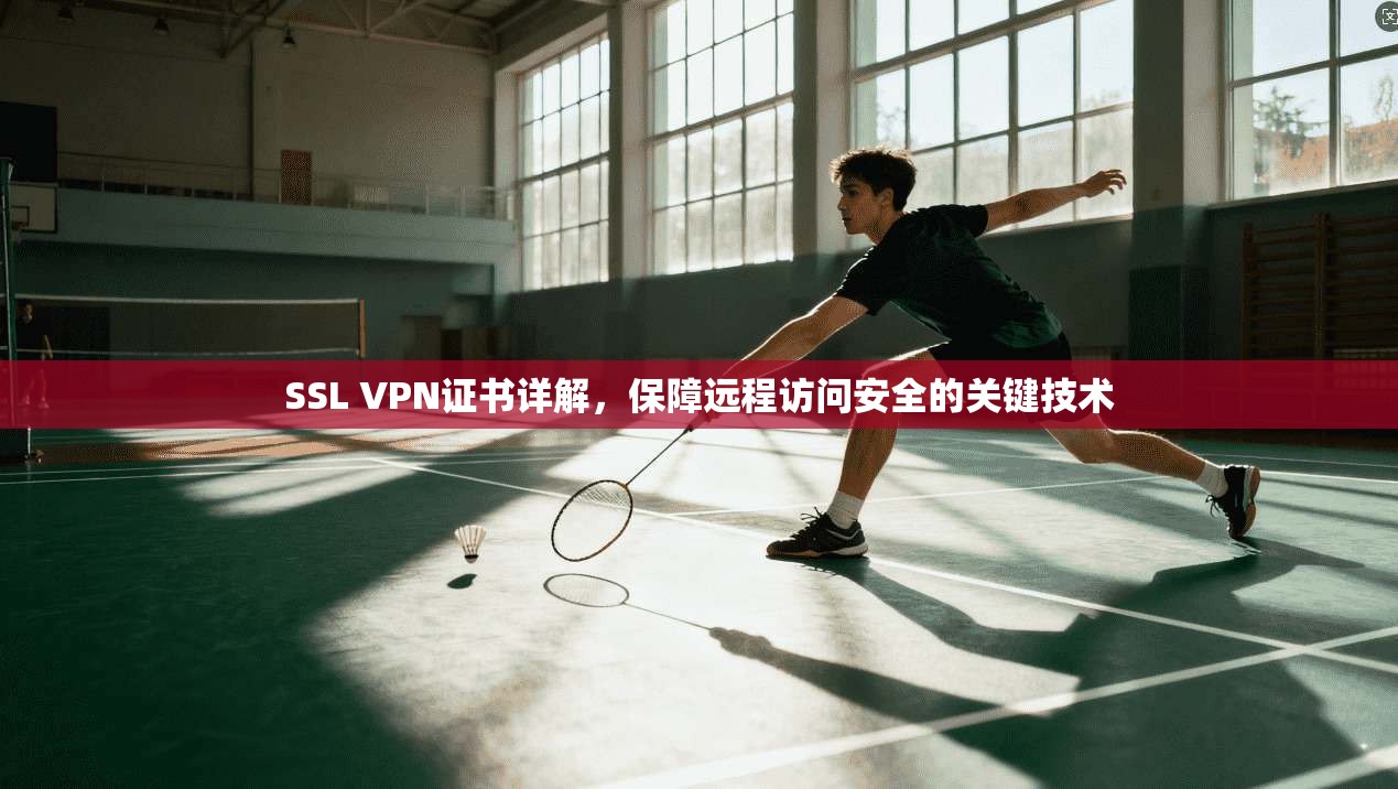 SSL VPN证书详解，保障远程访问安全的关键技术
