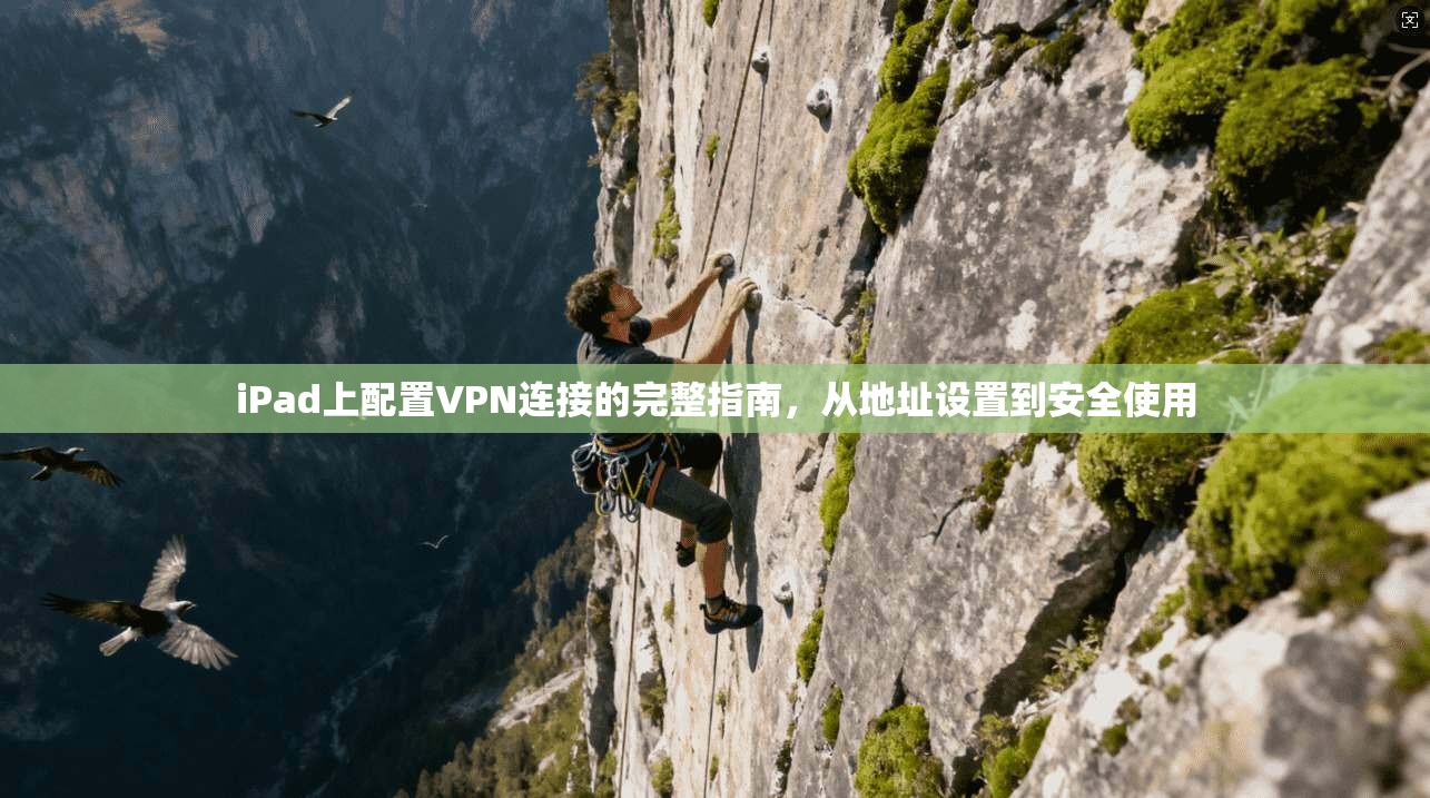 iPad上配置VPN连接的完整指南，从地址设置到安全使用