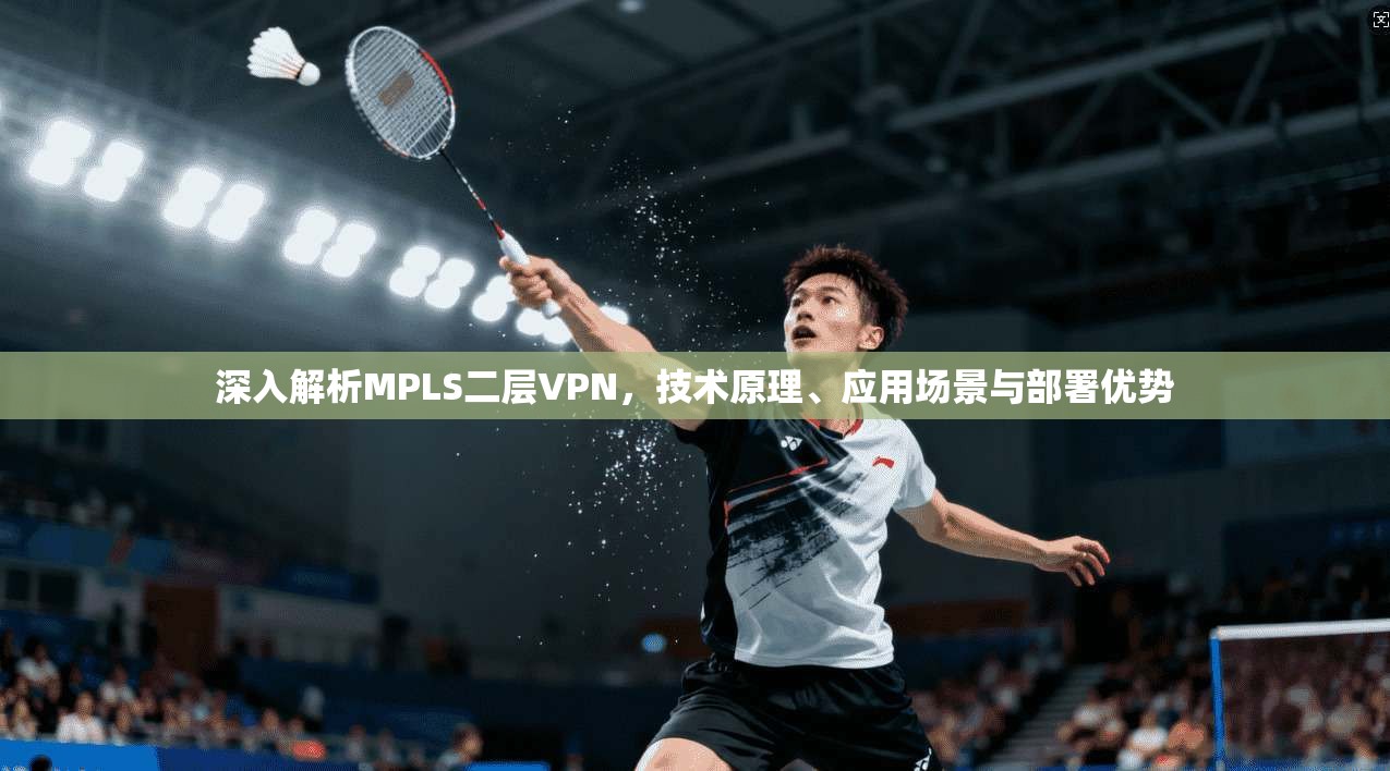 深入解析MPLS二层VPN，技术原理、应用场景与部署优势