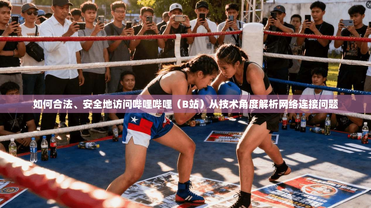 如何合法、安全地访问哔哩哔哩（B站）从技术角度解析网络连接问题