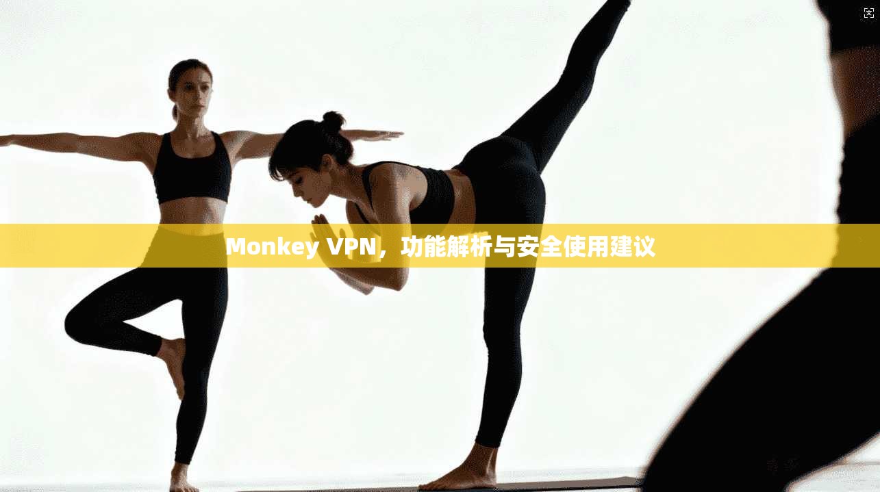 Monkey VPN，功能解析与安全使用建议
