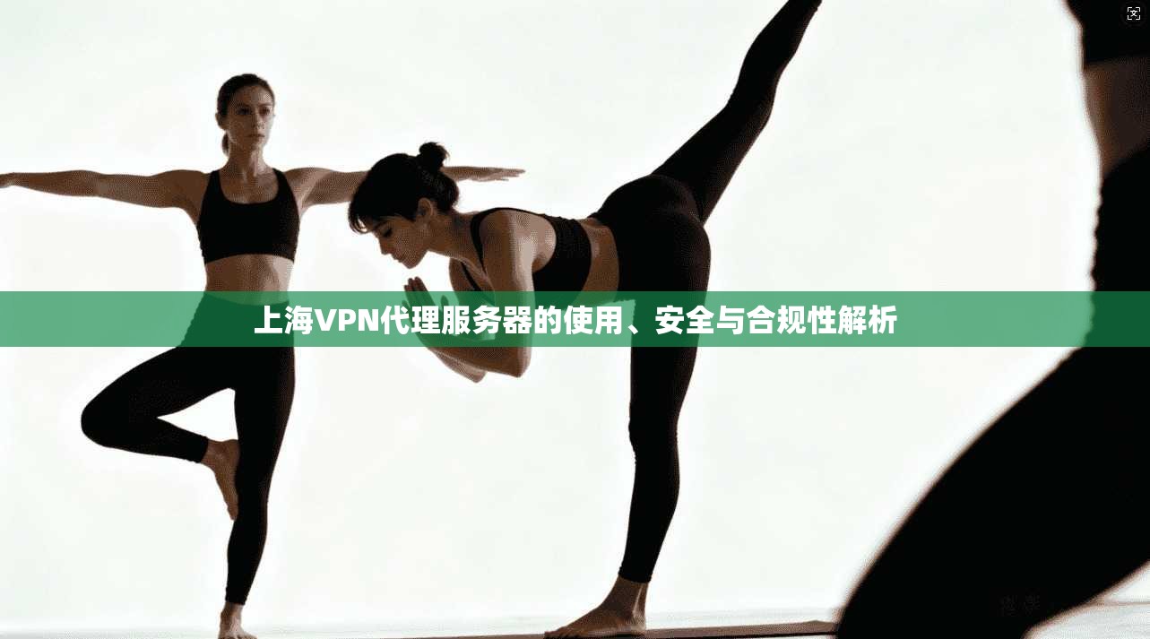 上海VPN代理服务器的使用、安全与合规性解析 上海VPN代理服务器的使用、安全与合规性解析