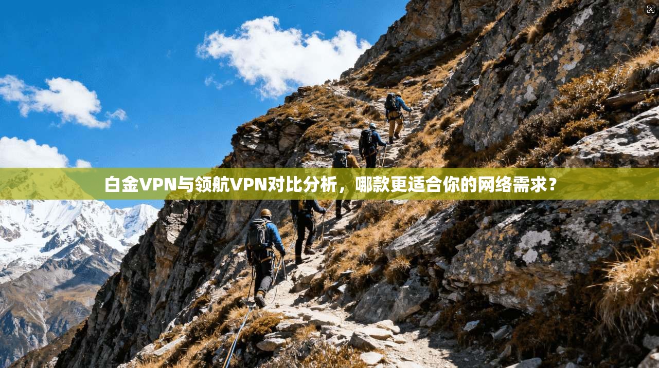 白金VPN与领航VPN对比分析,哪款更适合你的网络需求? 白金VPN与领航VPN对比分析,哪款更适合你的网络需求?