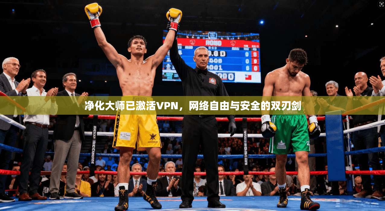 净化大师已激活VPN,网络自由与安全的双刃剑 净化大师已激活VPN,网络自由与安全的双刃剑