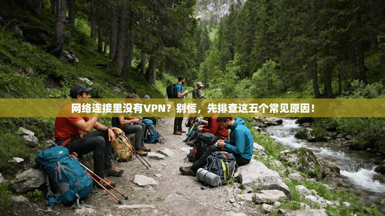 网络连接里没有VPN？别慌，先排查这五个常见原因！