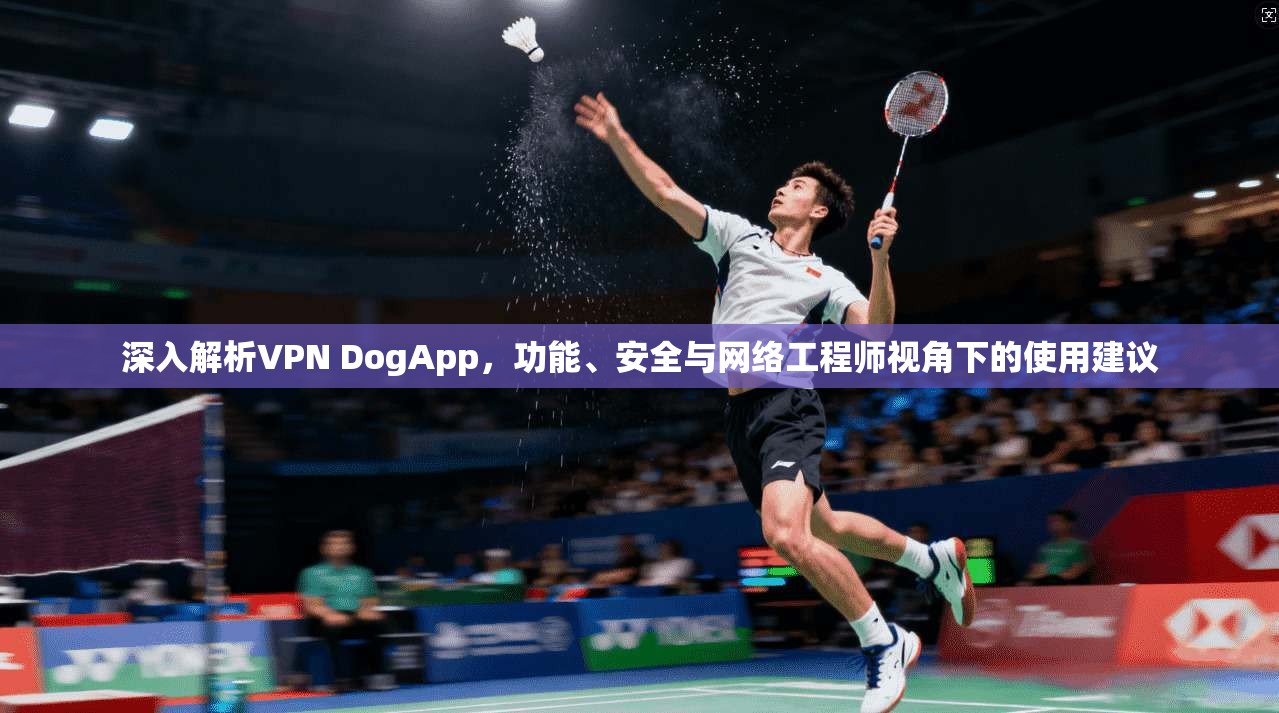 深入解析VPN DogApp,功能、安全与网络工程师视角下的使用建议 深入解析VPN DogApp,功能、安全与网络工程师视角下的使用建议