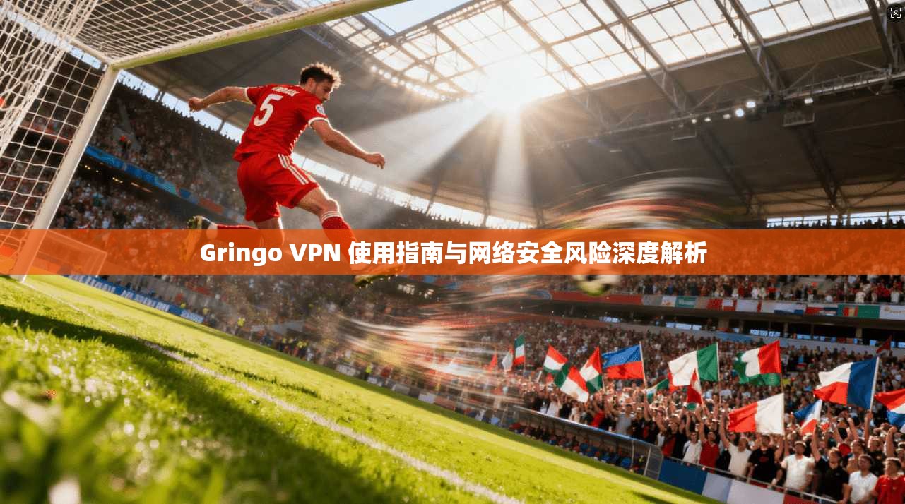 Gringo VPN 使用指南与网络安全风险深度解析 Gringo VPN 使用指南与网络安全风险深度解析