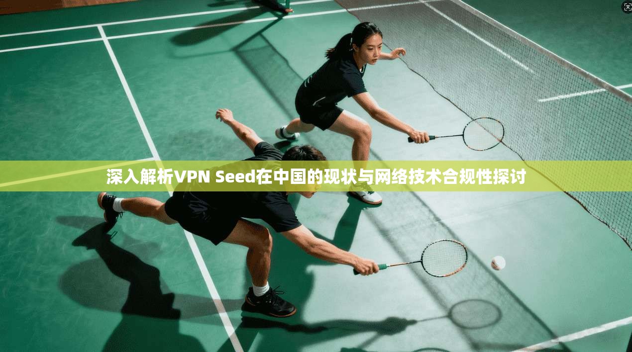 深入解析VPN Seed在中国的现状与网络技术合规性探讨 深入解析VPN Seed在中国的现状与网络技术合规性探讨