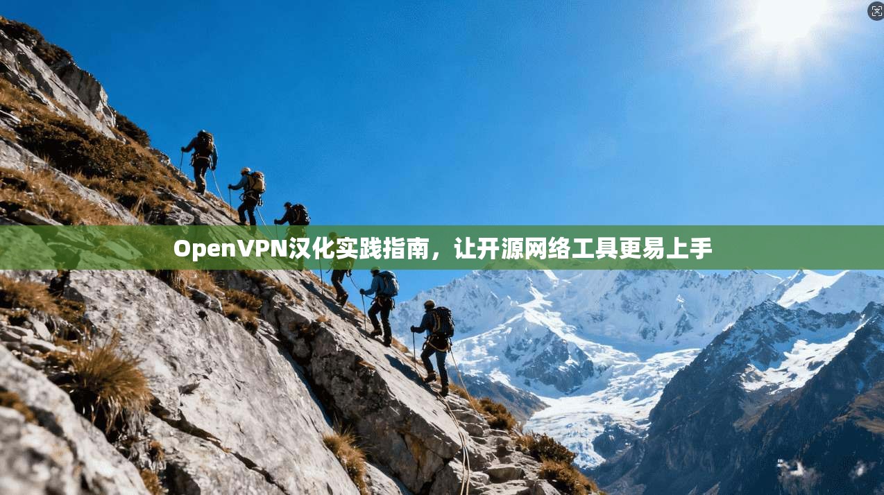OpenVPN汉化实践指南，让开源网络工具更易上手