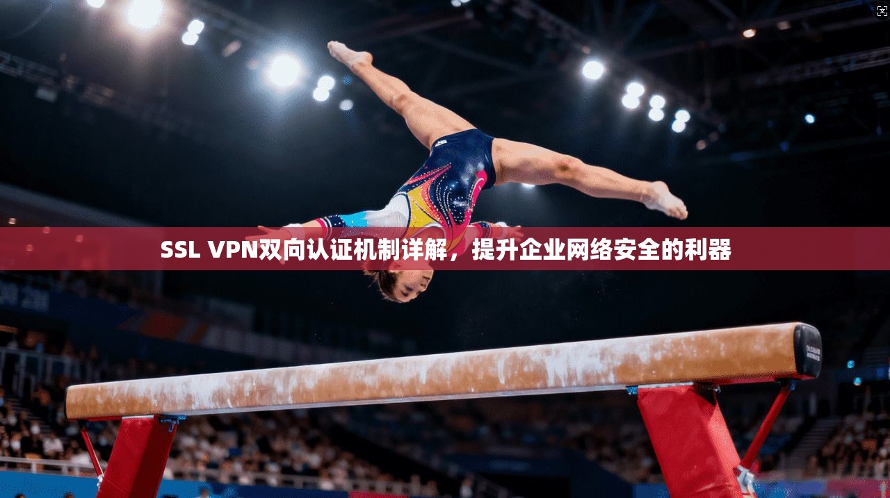 SSL VPN双向认证机制详解,提升企业网络安全的利器 SSL VPN双向认证机制详解,提升企业网络安全的利器
