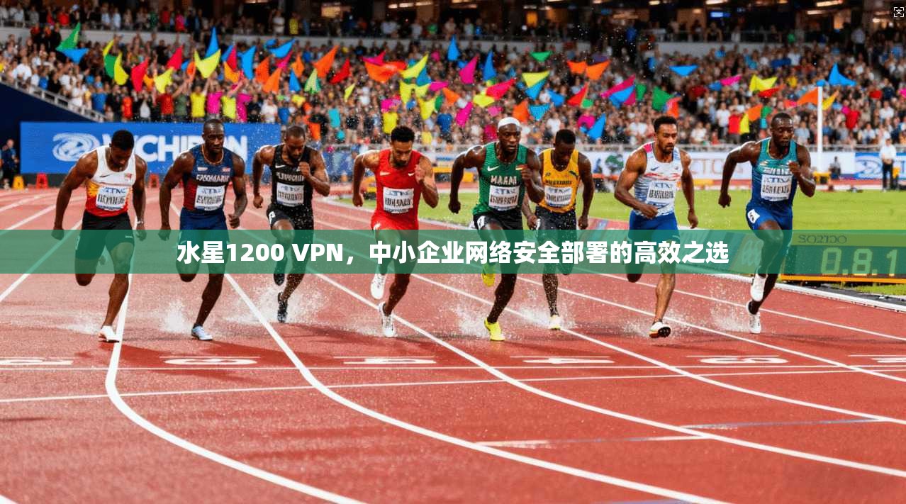 水星1200 VPN,中小企业网络安全部署的高效之选 水星1200 VPN,中小企业网络安全部署的高效之选