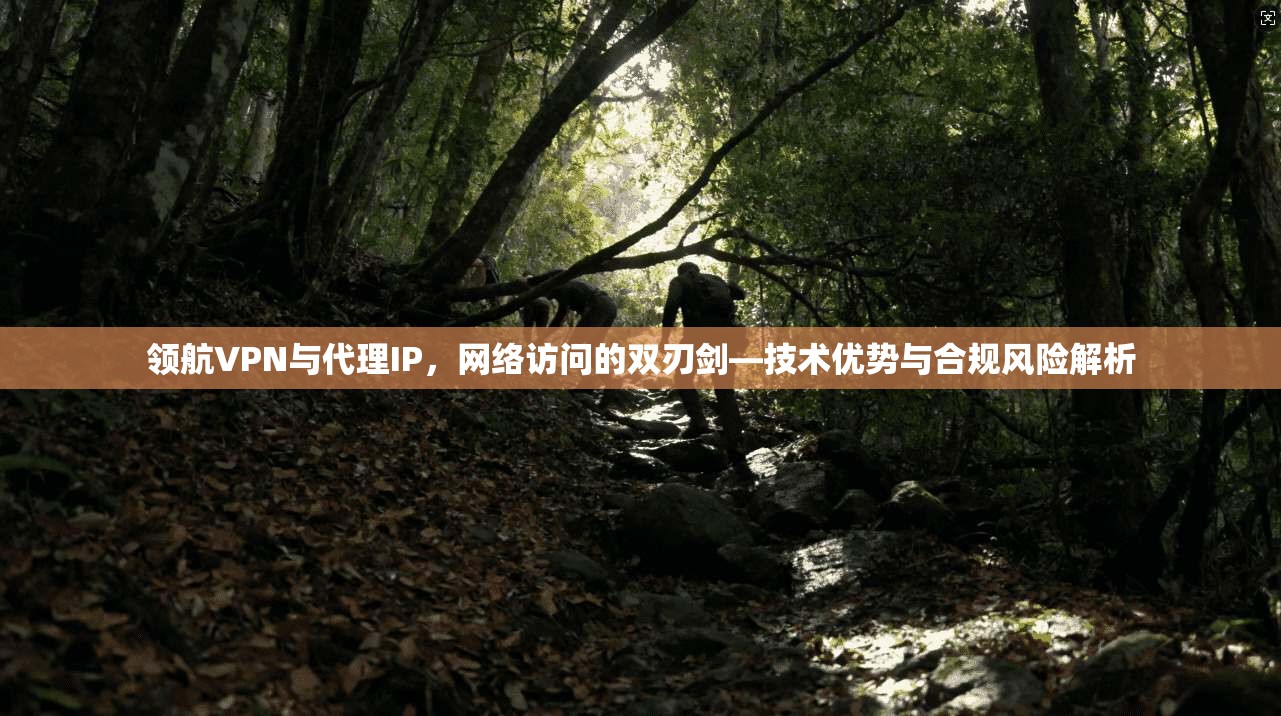 领航VPN与代理IP,网络访问的双刃剑—技术优势与合规风险解析 领航VPN与代理IP,网络访问的双刃剑—技术优势与合规风险解析