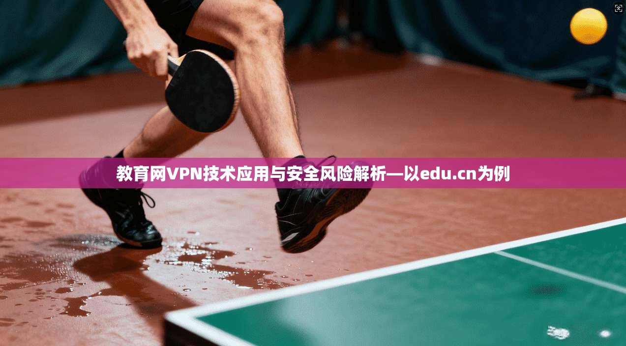 教育网VPN技术应用与安全风险解析—以edu.cn为例