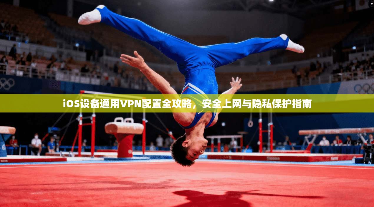 iOS设备通用VPN配置全攻略，安全上网与隐私保护指南