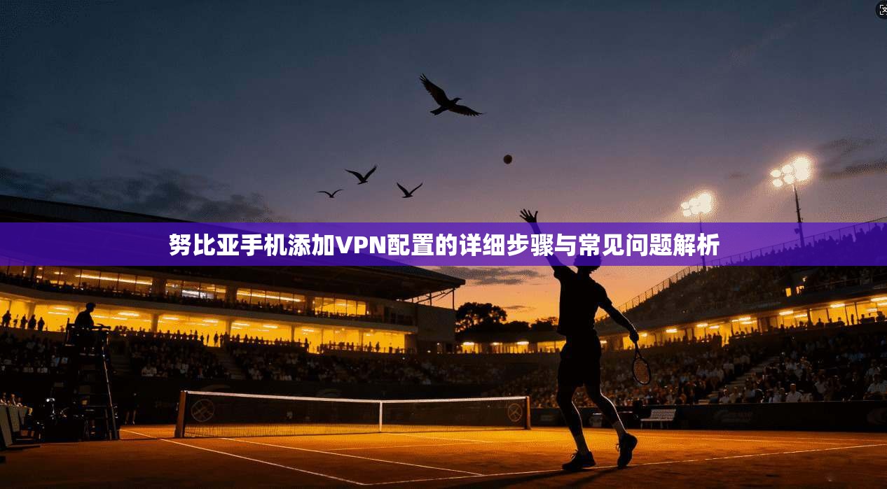 努比亚手机添加VPN配置的详细步骤与常见问题解析