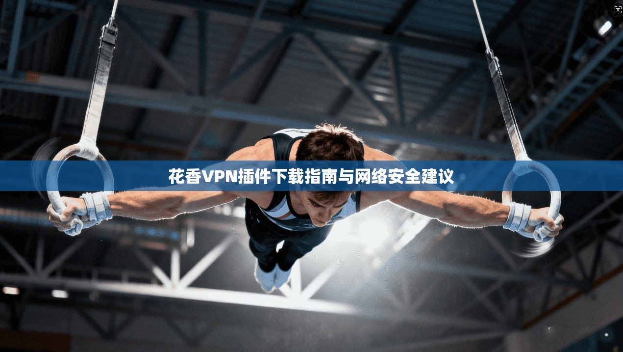 花香VPN插件下载指南与网络安全建议