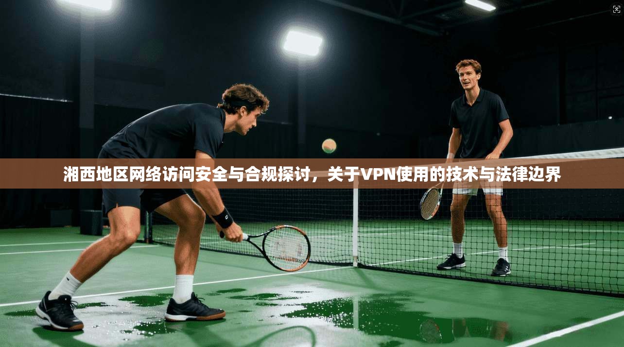 湘西地区网络访问安全与合规探讨，关于VPN使用的技术与法律边界