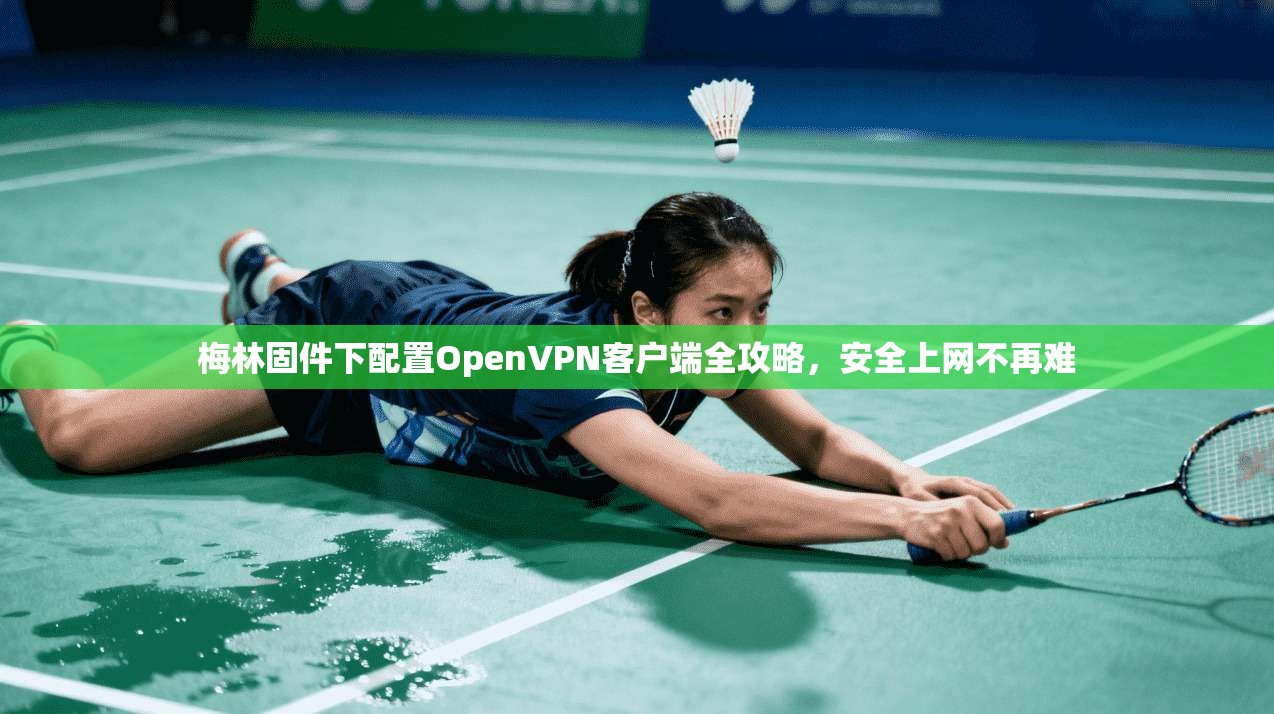 梅林固件下配置OpenVPN客户端全攻略，安全上网不再难