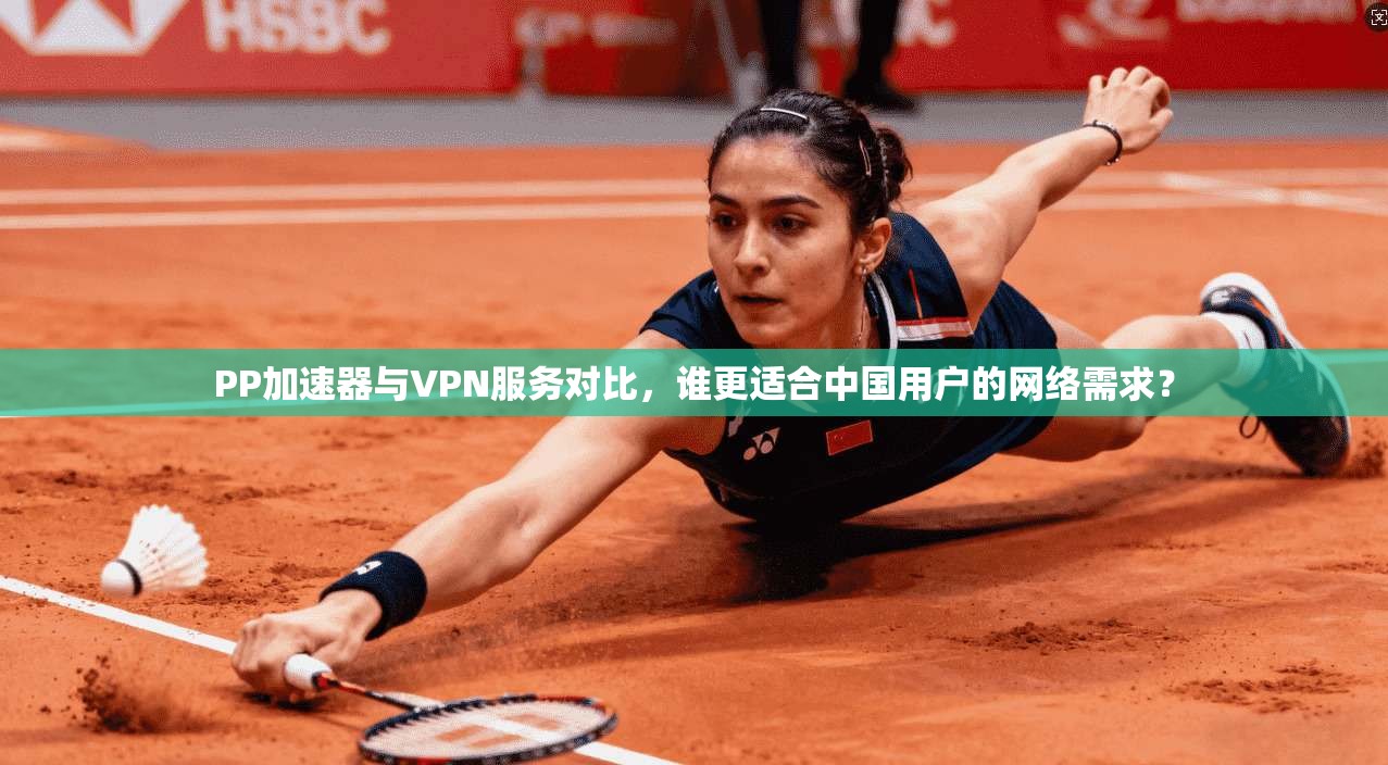 PP加速器与VPN服务对比，谁更适合中国用户的网络需求？