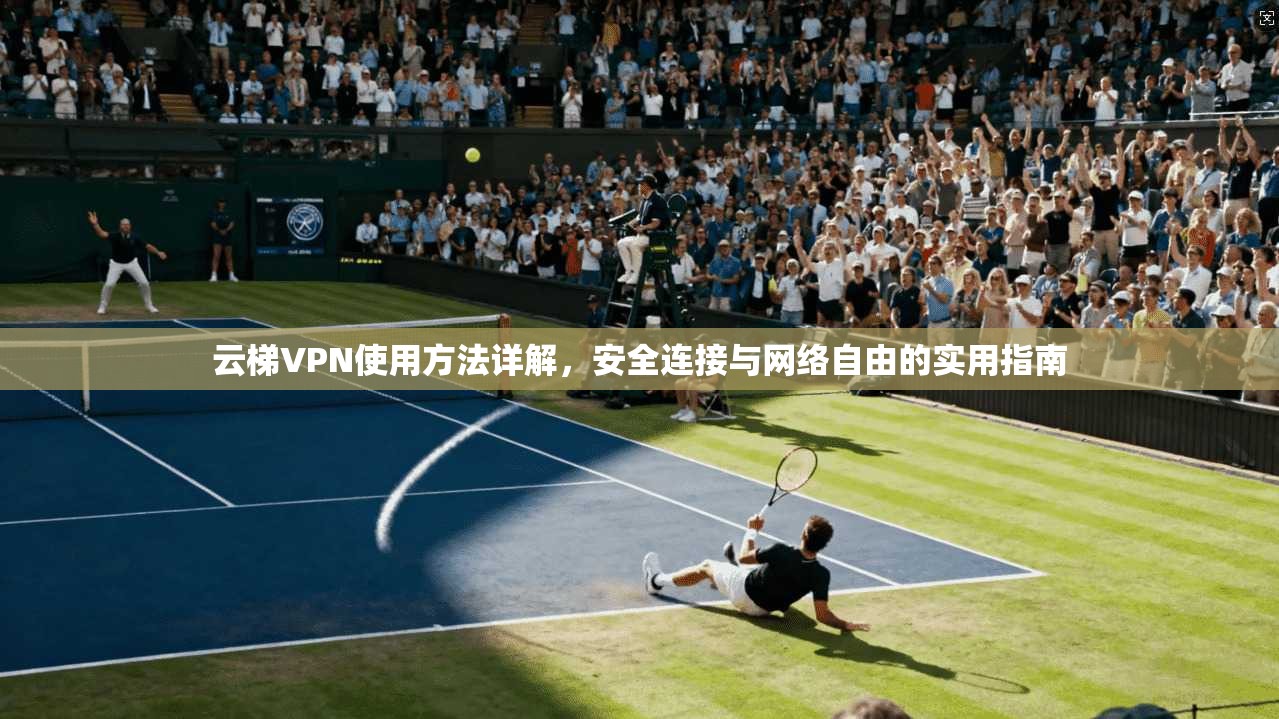 云梯VPN使用方法详解，安全连接与网络自由的实用指南