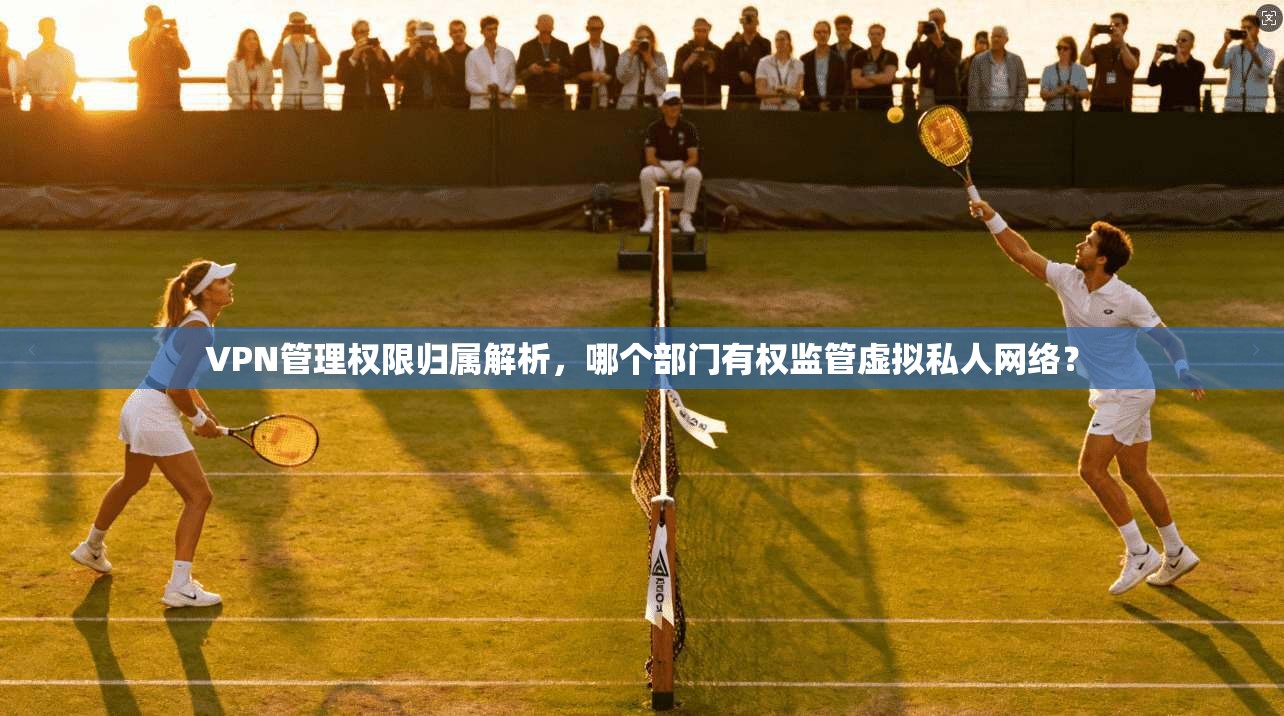 VPN管理权限归属解析，哪个部门有权监管虚拟私人网络？