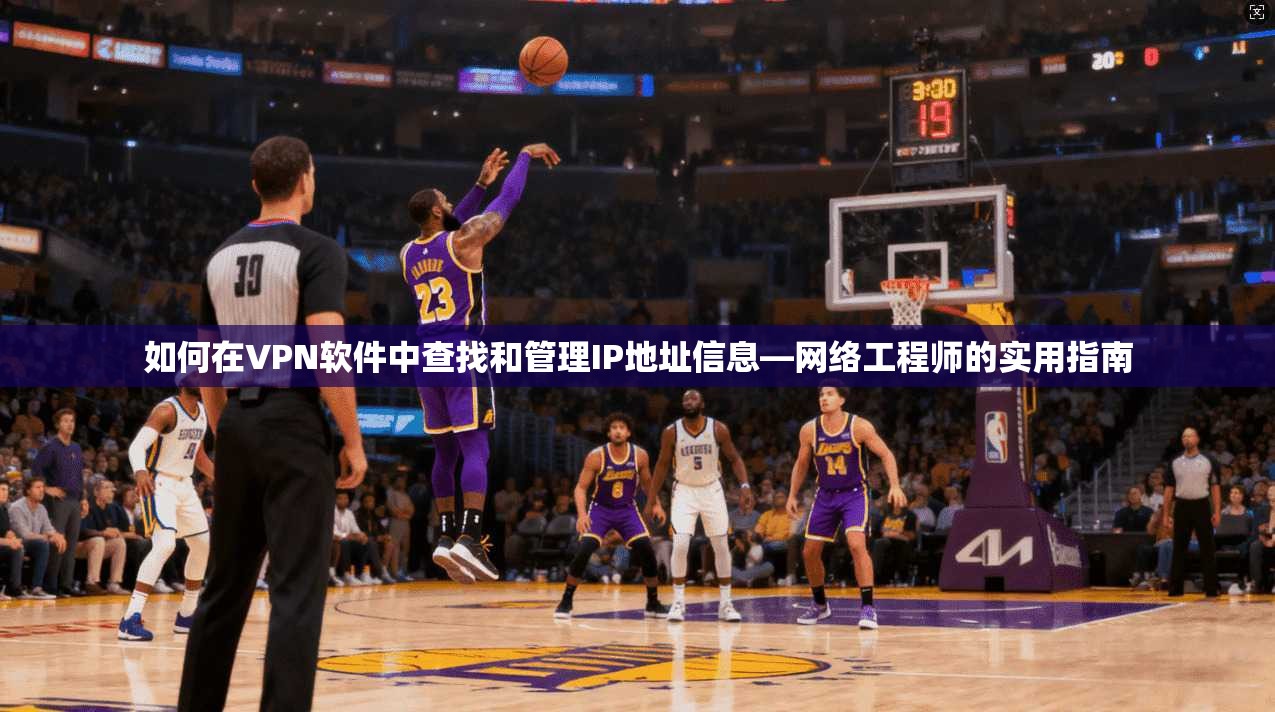 如何在VPN软件中查找和管理IP地址信息—网络工程师的实用指南