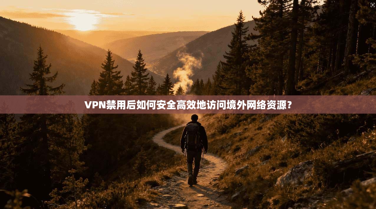 VPN禁用后如何安全高效地访问境外网络资源？
