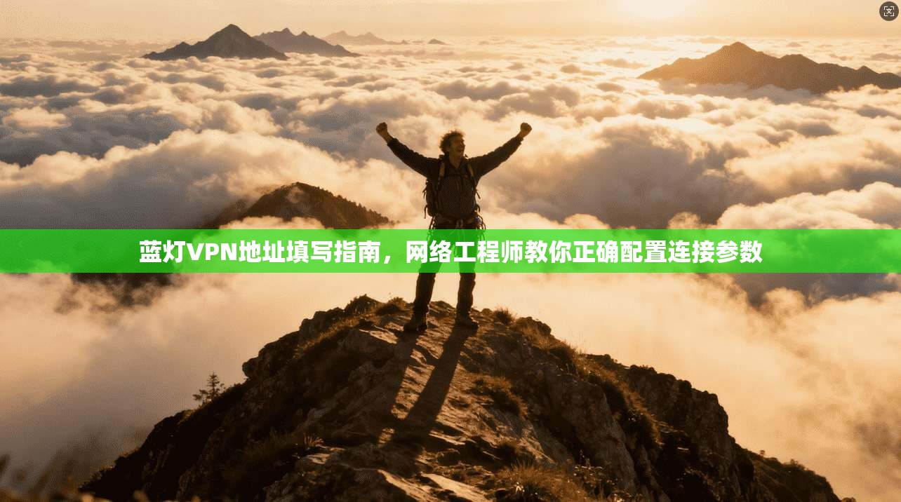 蓝灯VPN地址填写指南，网络工程师教你正确配置连接参数
