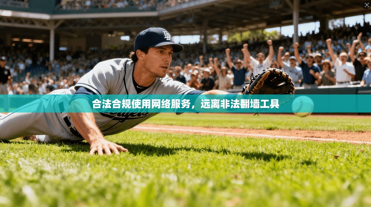 合法合规使用网络服务，远离非法翻墙工具